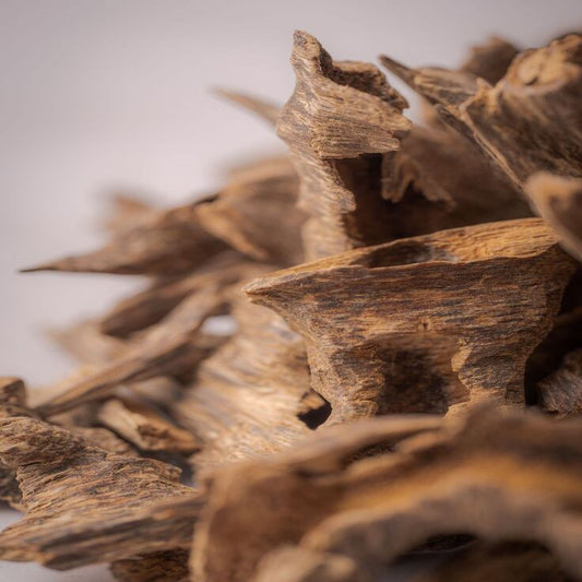 Natural Chinese Agarwood: A Precious Gift from Nature