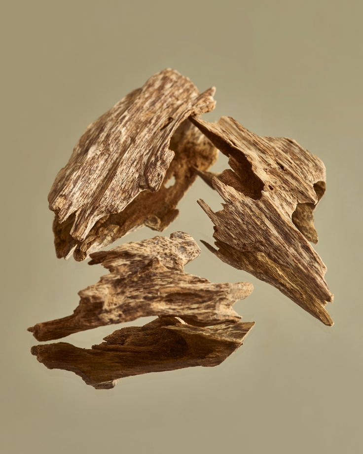 Agarwood - My Store