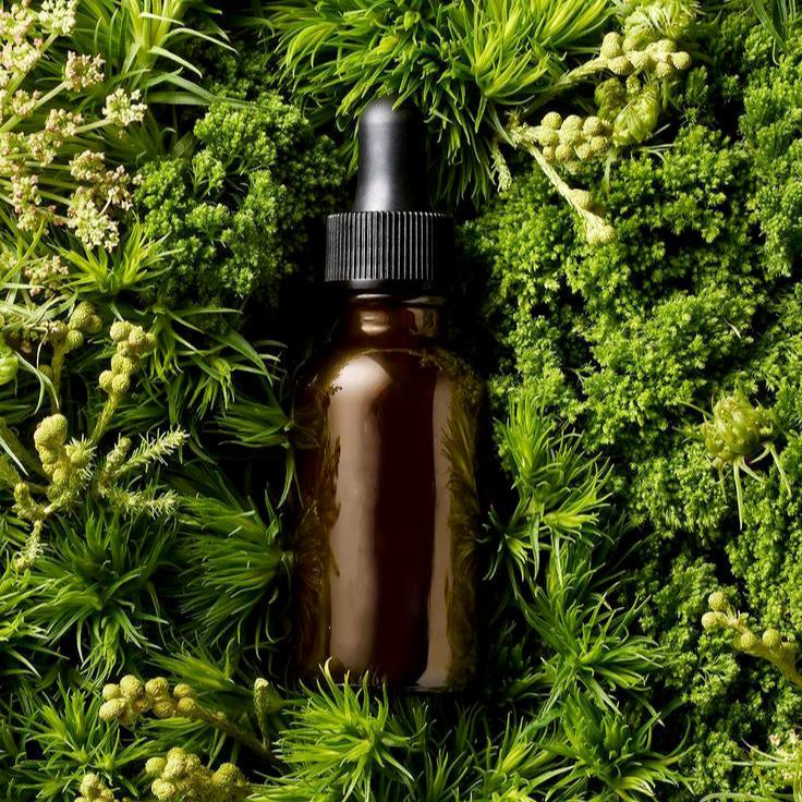 Retreat Bliss Oud